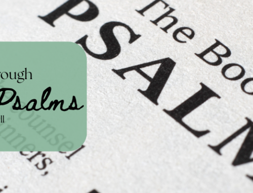 My Journey Through Psalms